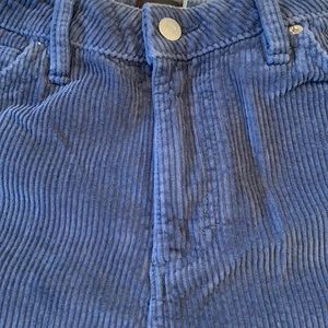 Blue gray BDG corduroy pants.